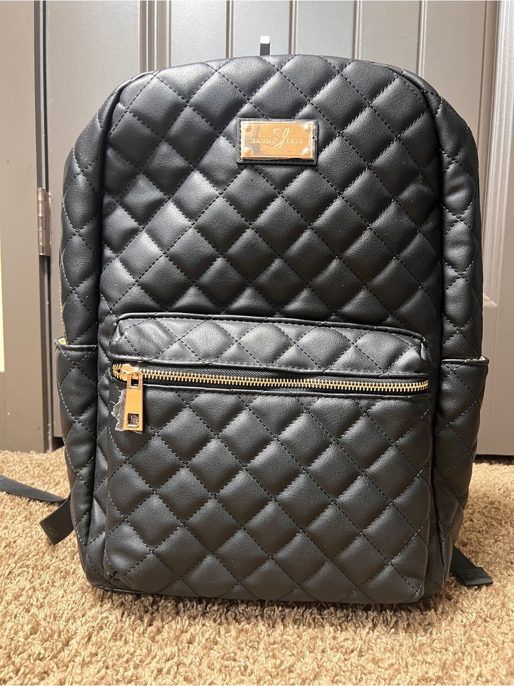 NWT Sandy Lisa St. Tropez Laptop Backpack